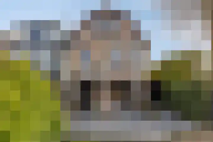 Molendijk 45 Herkingen thumbnail 42