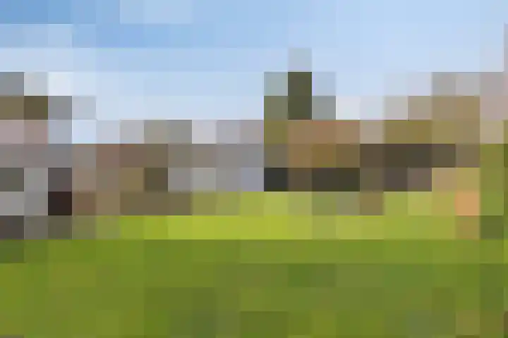 Molendijk 45 Herkingen thumbnail 43