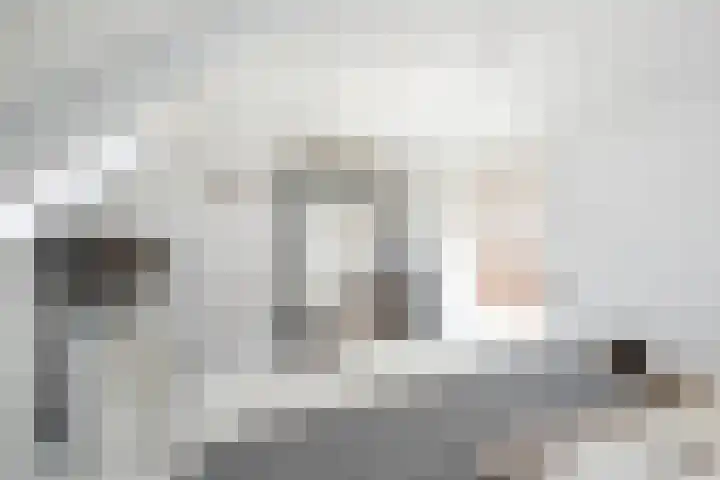 Molendijk 5 Melissant thumbnail 19
