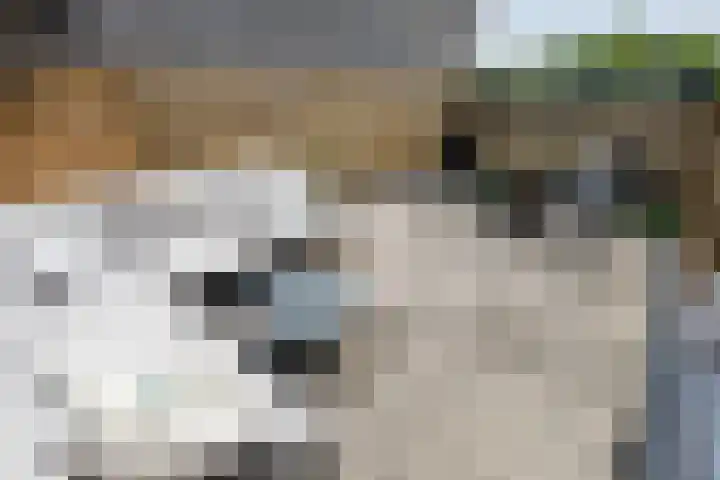 Molendijk 5 Melissant thumbnail 22
