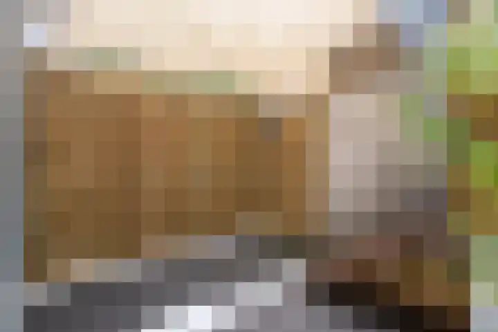 Molendijk 5 Melissant thumbnail 23