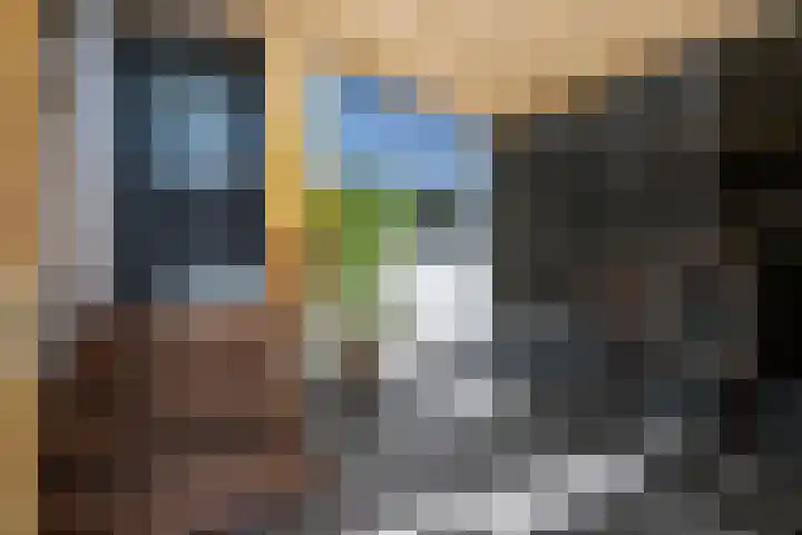 Molendijk 5 Melissant thumbnail 24