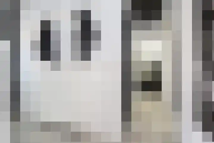 Molendijk 5 Melissant thumbnail 4