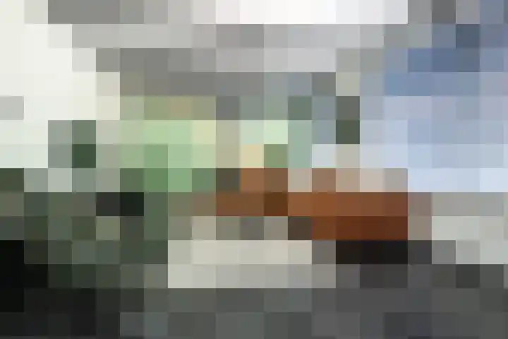 Molendijk 5 Melissant thumbnail 7