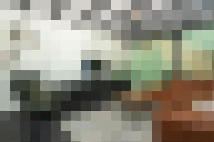 Molendijk 5 Melissant thumbnail 8