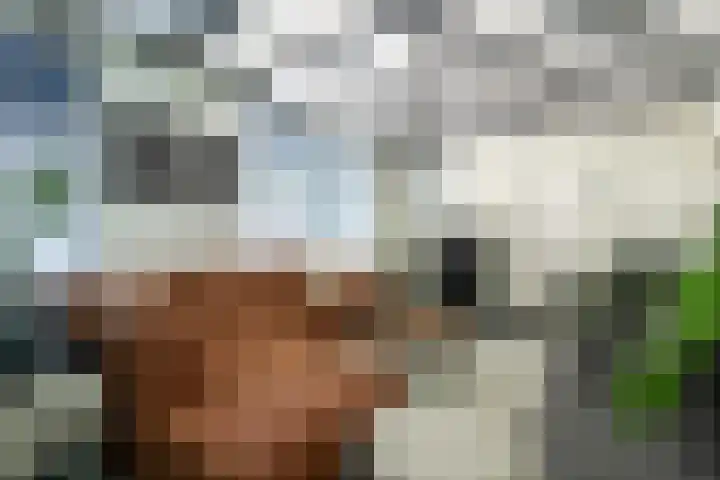 Molendijk 5 Melissant thumbnail 9