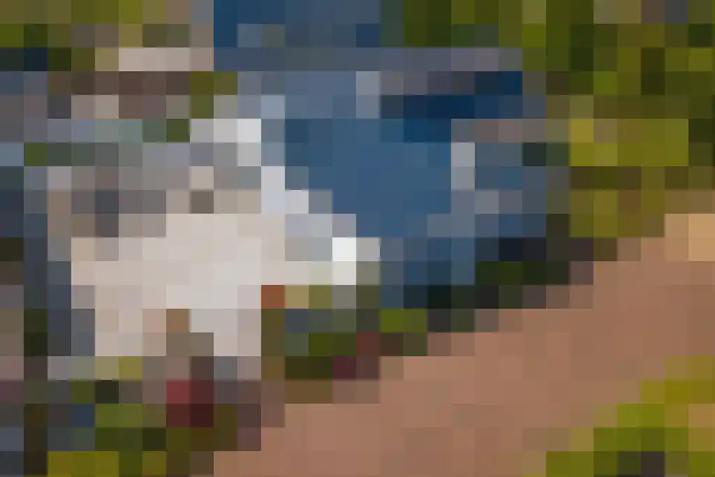 Molendijk 6 Oostvoorne