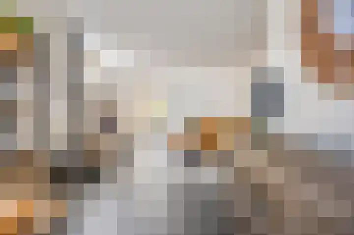 Molendijk 60 's Gravenmoer thumbnail 11