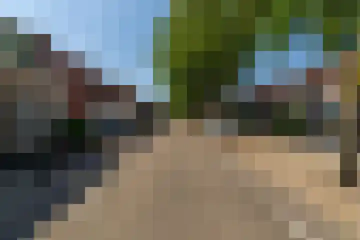 Molendijk 60 's Gravenmoer thumbnail 5