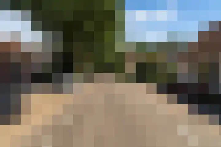 Molendijk 60 's Gravenmoer thumbnail 6