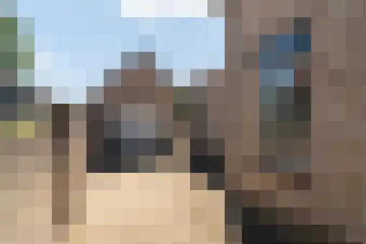 Molendijk 60 's Gravenmoer thumbnail 7