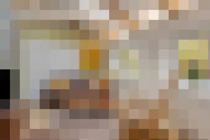 Molendijk 7 Lage Zwaluwe thumbnail 10
