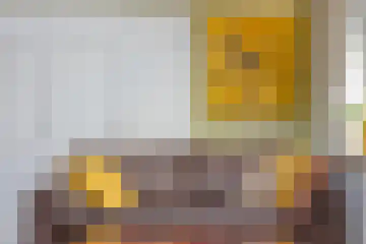Molendijk 7 Lage Zwaluwe thumbnail 12