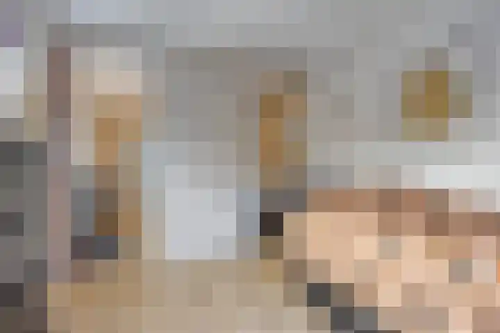 Molendijk 7 Lage Zwaluwe thumbnail 20