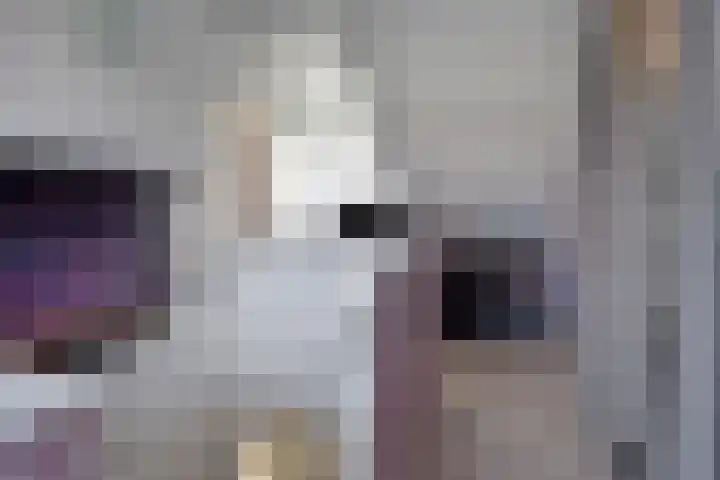 Molendijk 7 Lage Zwaluwe thumbnail 25