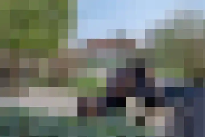 Molendijk 7 Lage Zwaluwe thumbnail 40