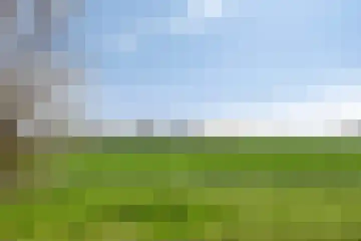 Molendijk 7 Lage Zwaluwe thumbnail 44