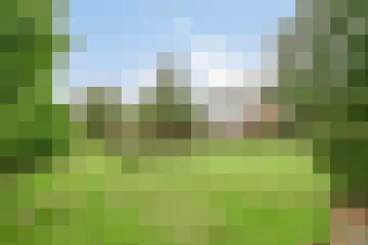 Molendijk 75 Goudswaard thumbnail 41