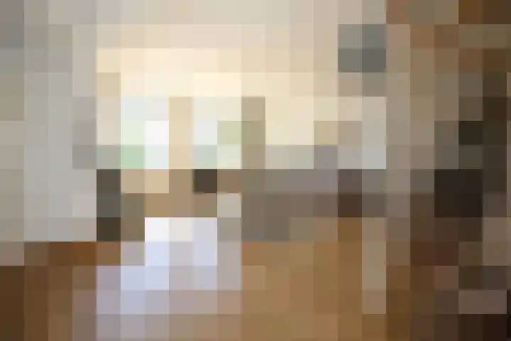 Molendijk 79 Dinteloord thumbnail 11