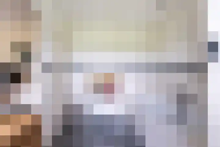 Molendijk 79 Dinteloord thumbnail 22