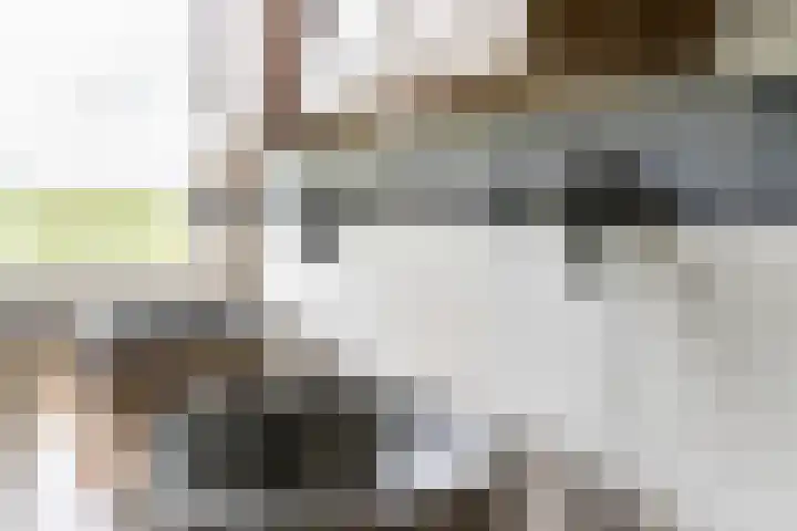 Molendijk 79 Dinteloord thumbnail 25