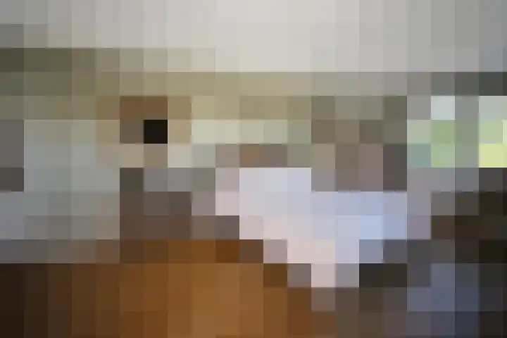 Molendijk 79 Dinteloord thumbnail 29