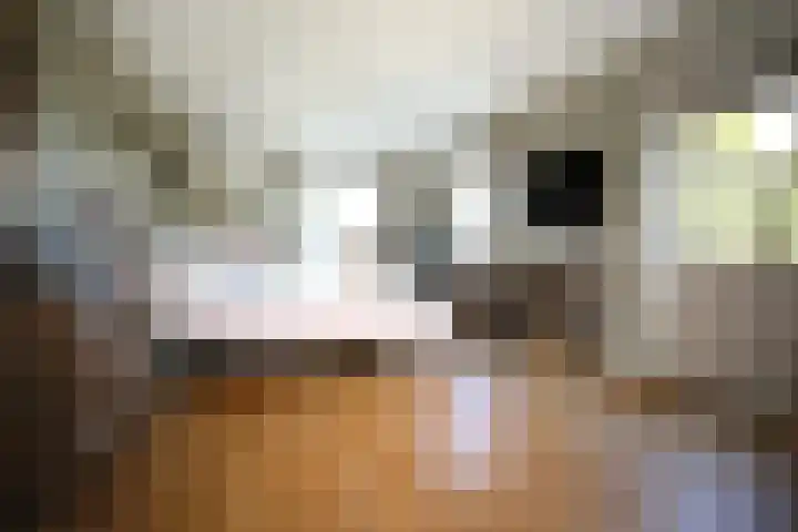 Molendijk 79 Dinteloord thumbnail 30