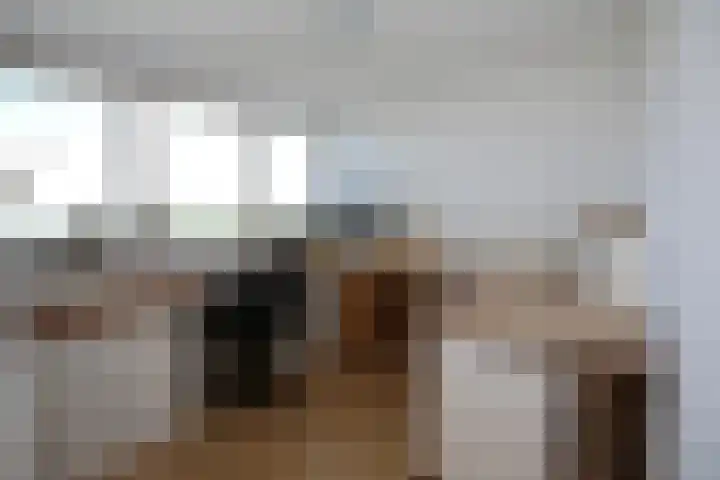 Molendijk 79 Dinteloord thumbnail 32