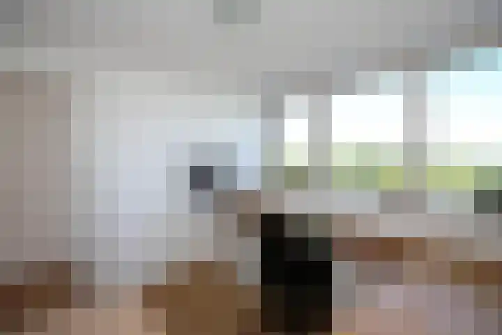 Molendijk 79 Dinteloord thumbnail 33