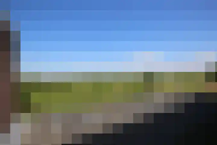 Molendijk 79 Dinteloord thumbnail 38
