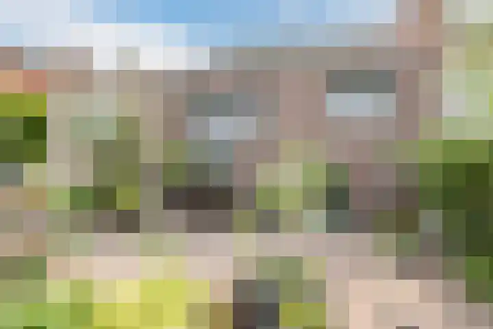 Molendijk 79 Dinteloord thumbnail 41