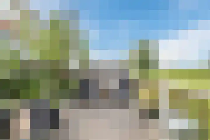 Molendijk 79 Dinteloord thumbnail 42