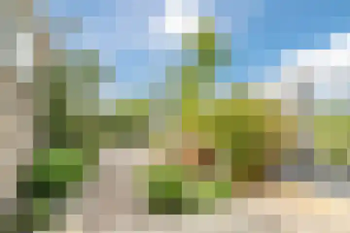Molendijk 79 Dinteloord thumbnail 45