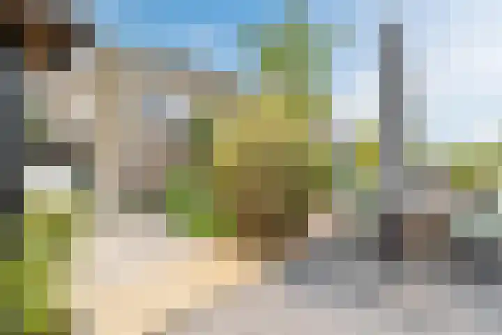 Molendijk 79 Dinteloord thumbnail 46