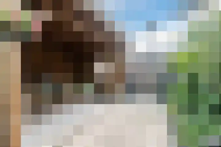Molendijk 79 Dinteloord thumbnail 47