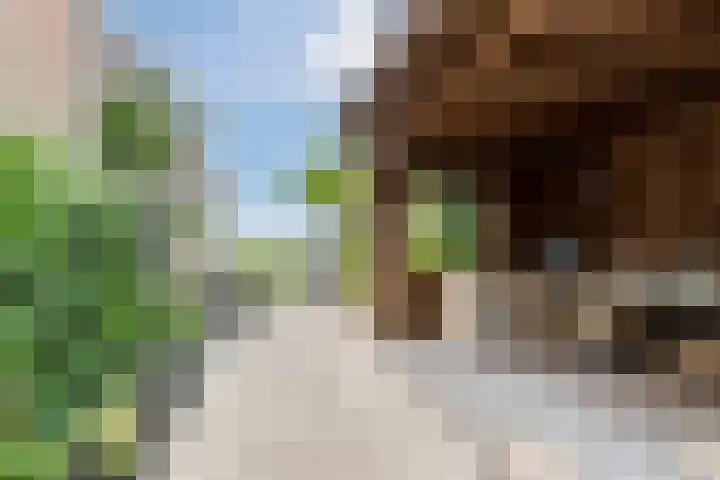 Molendijk 79 Dinteloord thumbnail 48