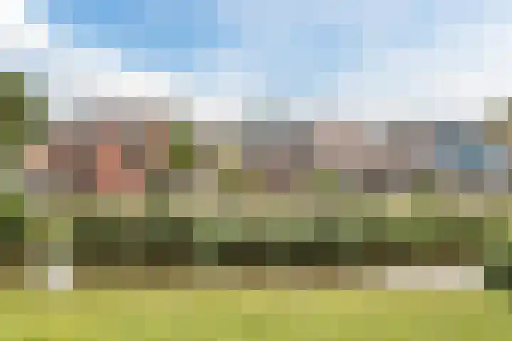 Molendijk 79 Dinteloord thumbnail 50