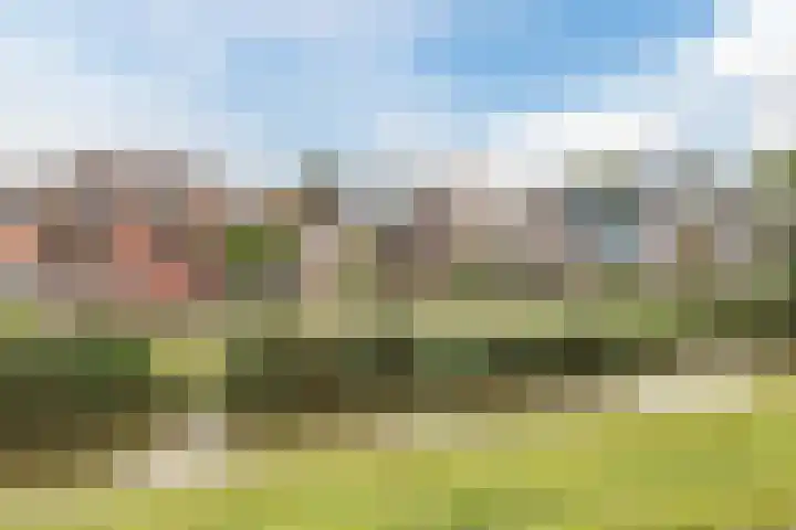 Molendijk 79 Dinteloord thumbnail 51