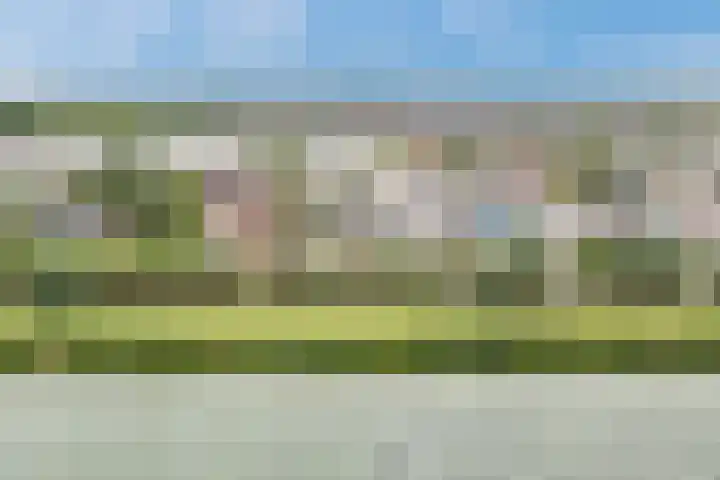 Molendijk 79 Dinteloord thumbnail 52