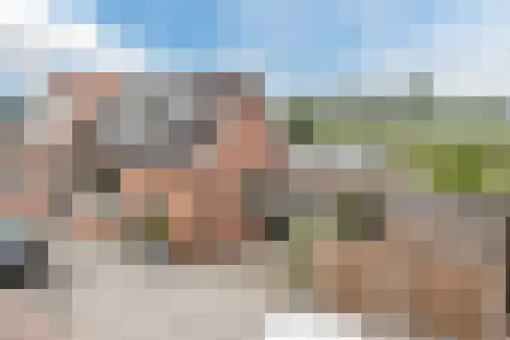 Molendijk 79 Dinteloord thumbnail 55