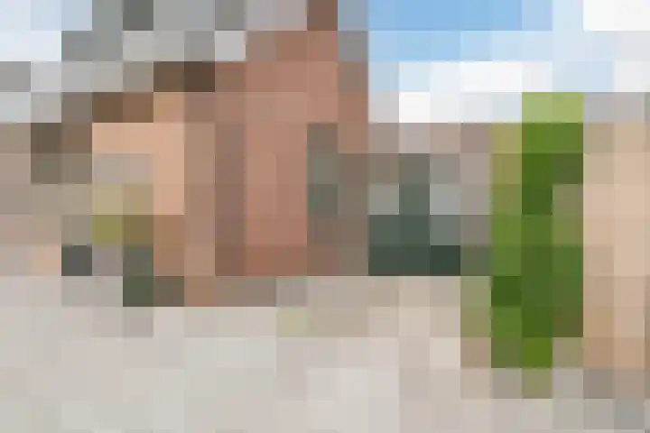 Molendijk 79 Dinteloord thumbnail 8