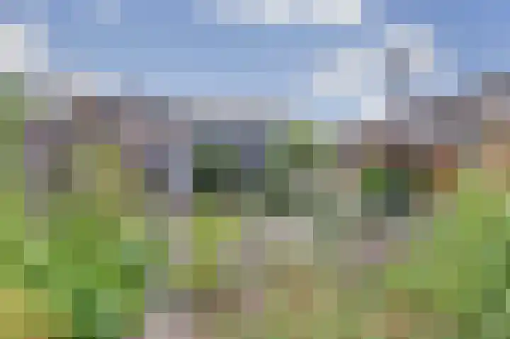 Molendijk 8 's-Heerenhoek thumbnail 21
