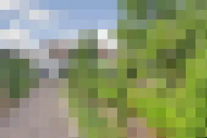 Molendijk 8 's-Heerenhoek thumbnail 4
