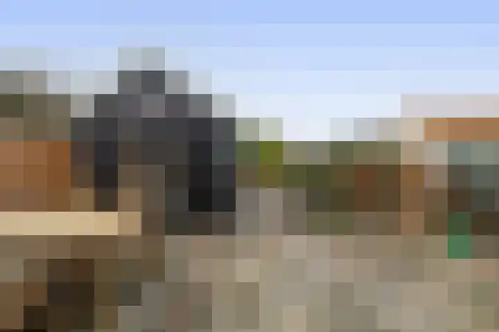 Molendijk 85 Zuid-Beijerland thumbnail 38