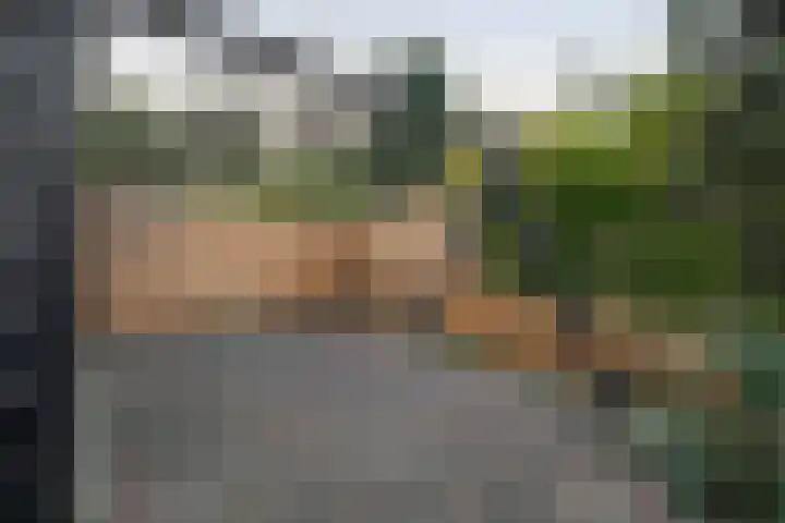 Molendijk 85 Zuid-Beijerland thumbnail 39