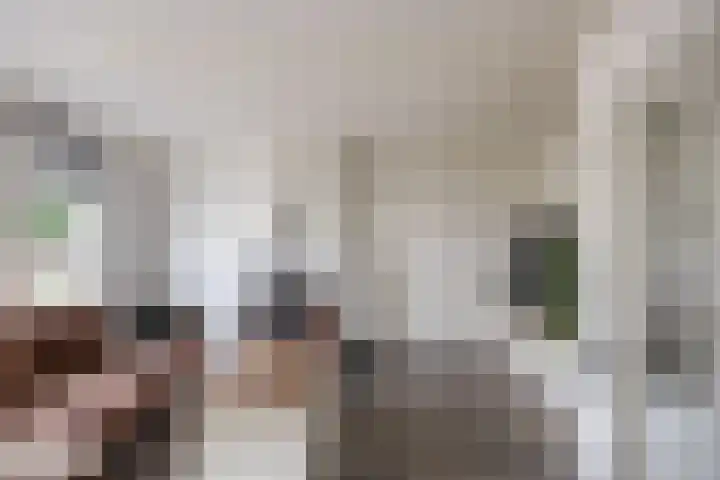 Molendijk 85 Zuid-Beijerland thumbnail 9
