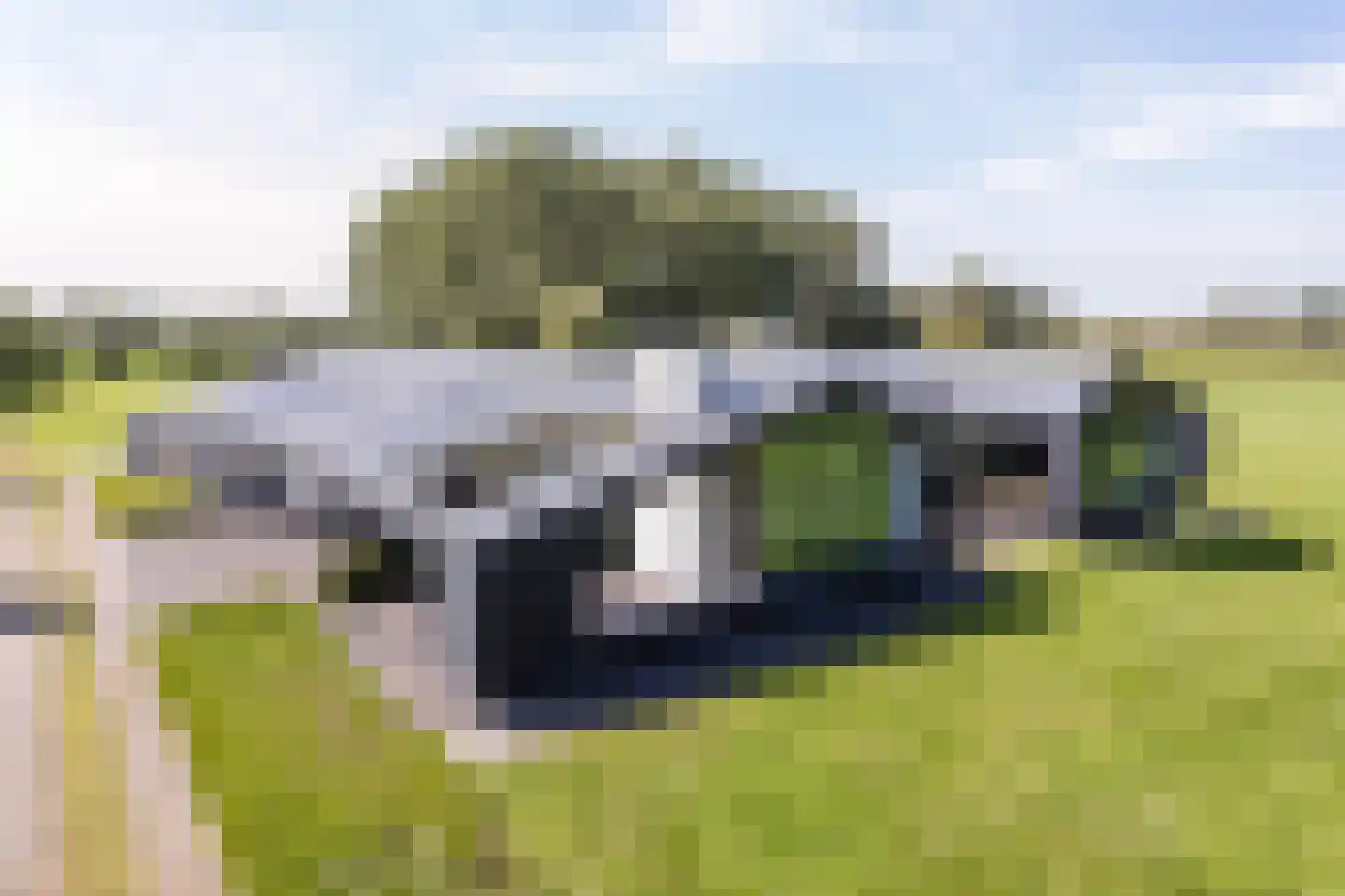 Molendijk 9 Laren thumbnail 65