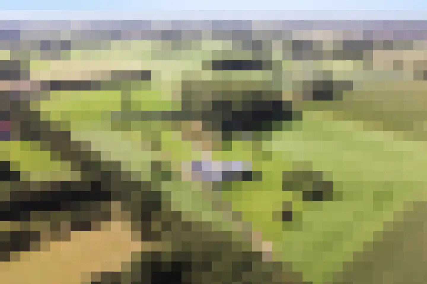 Molendijk 9 Laren thumbnail 69