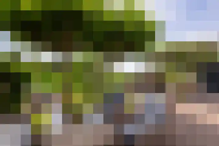 Molendijk 90 Klaaswaal thumbnail 24