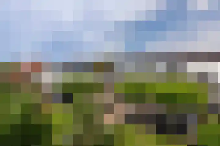 Molendijk 90 Klaaswaal thumbnail 48